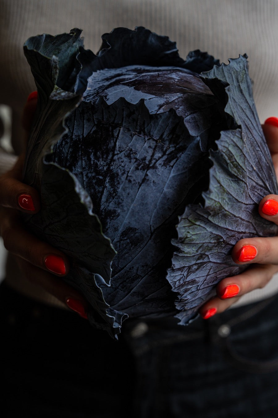 Pie steak & guinness